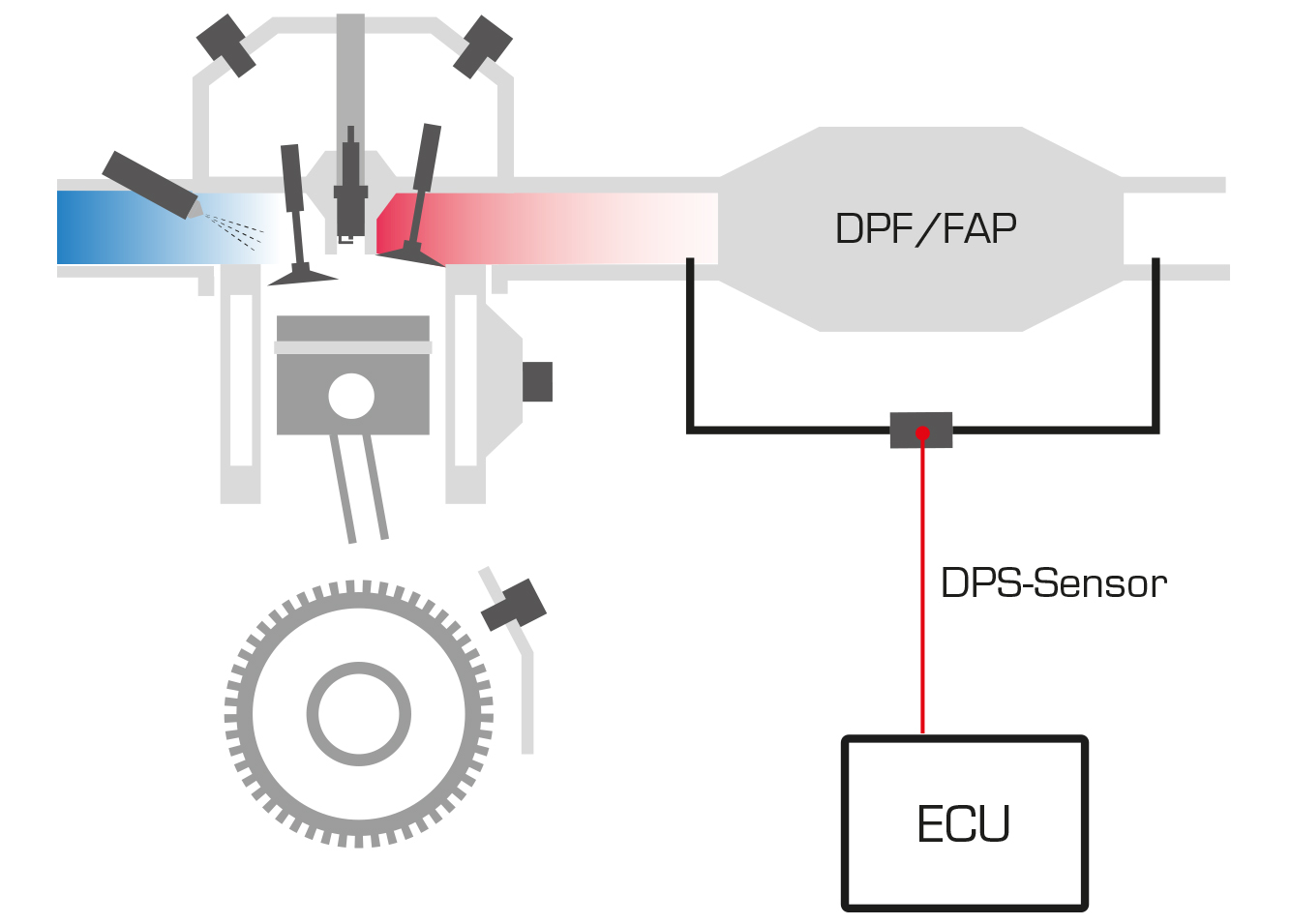 dps opbygning