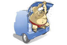 sumo